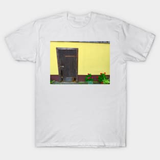 Old Farm Door T-Shirt